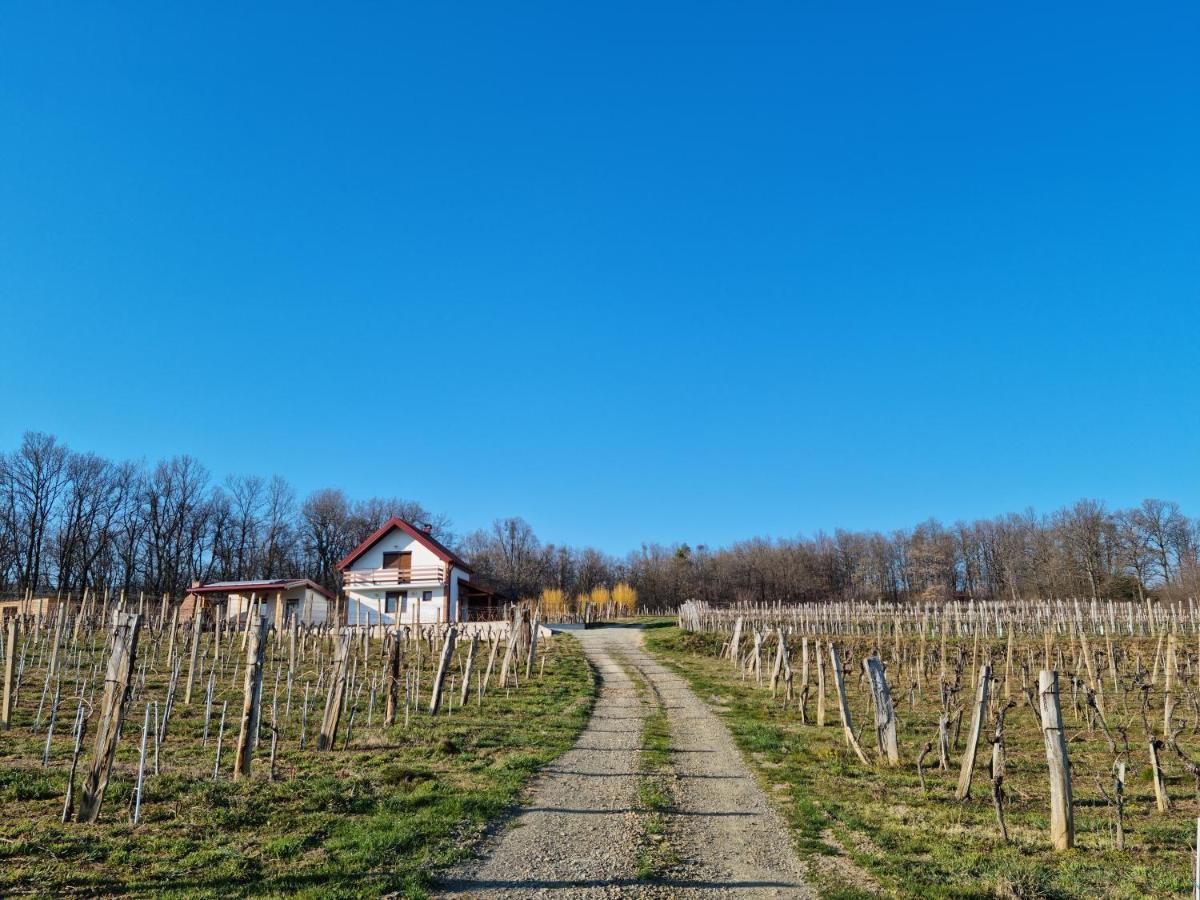 Kuca Za Odmor Baron Villa Kutjevo Exterior photo