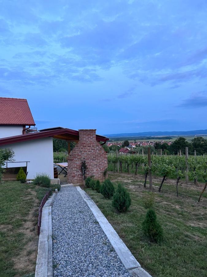 Kuca Za Odmor Baron Villa Kutjevo Exterior photo